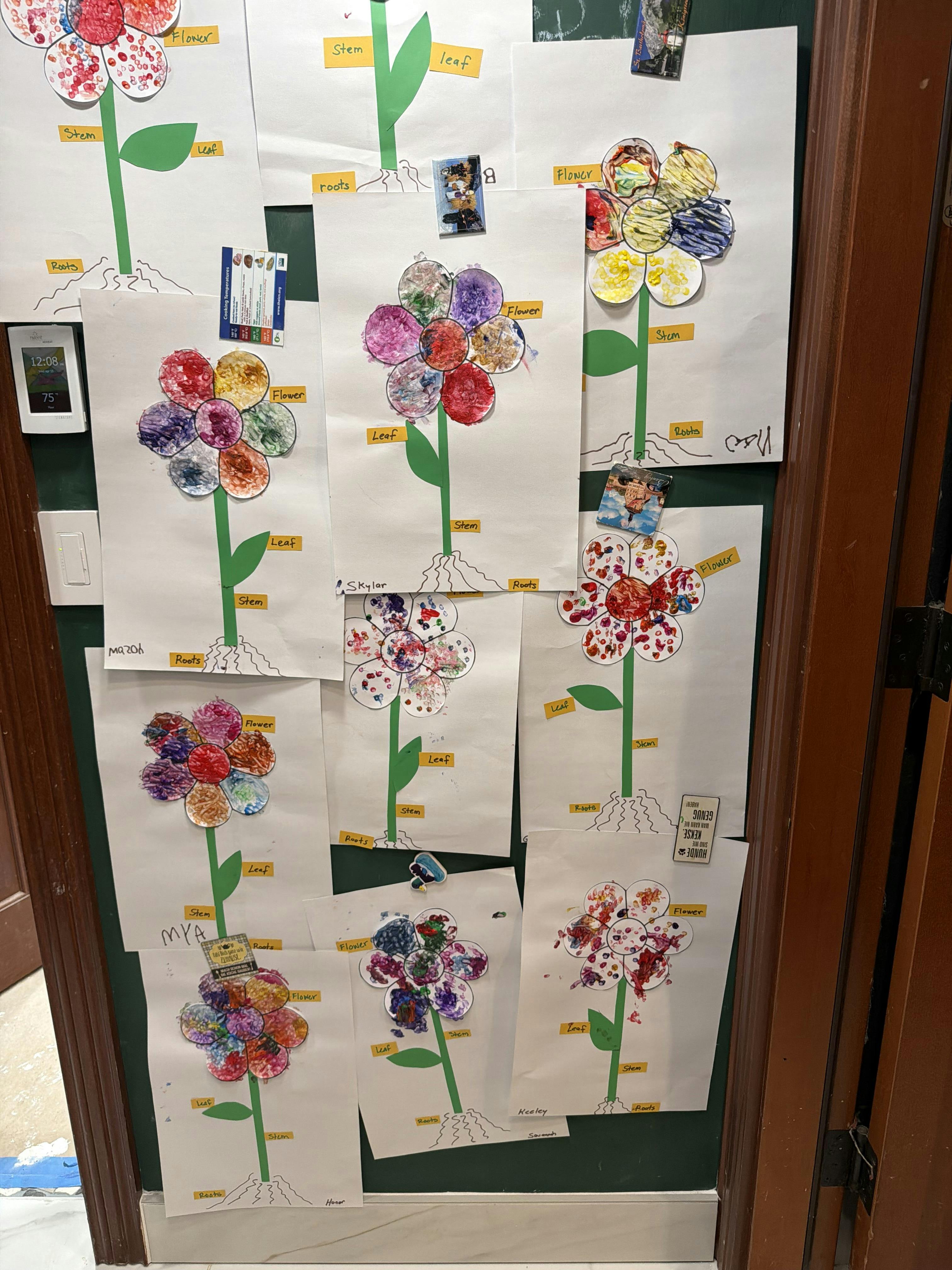Child-made drawings of labeled flower anatomy displayed on a wall