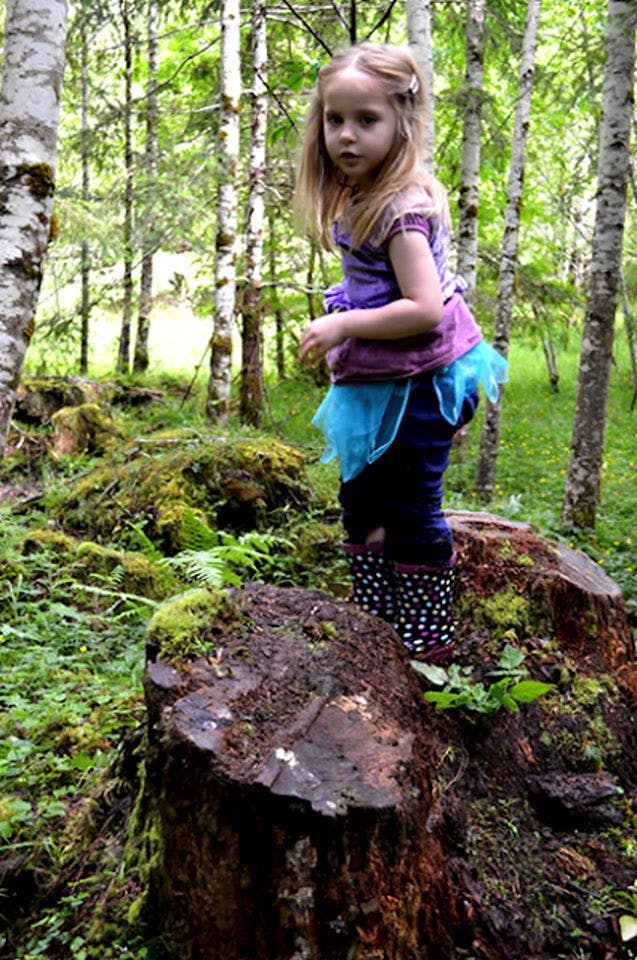 Child standing on a tree stump in a forest