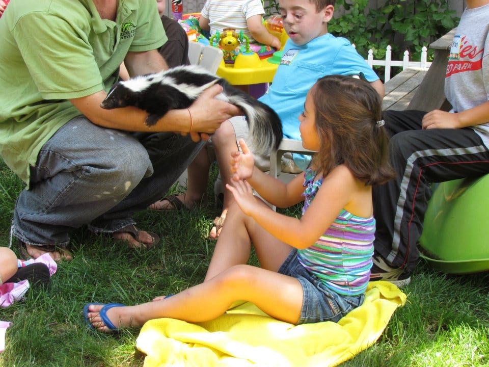 Person holding a skunk for a child to pet