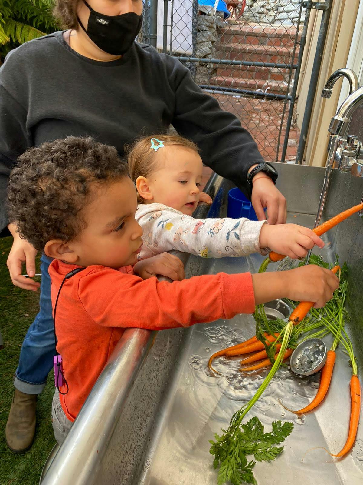 Person and two children washing carrots in a sink