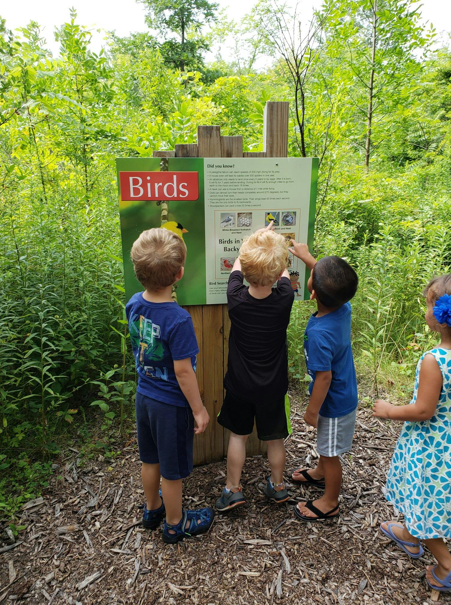 Children looking at a "Birds" sign in a wooded area