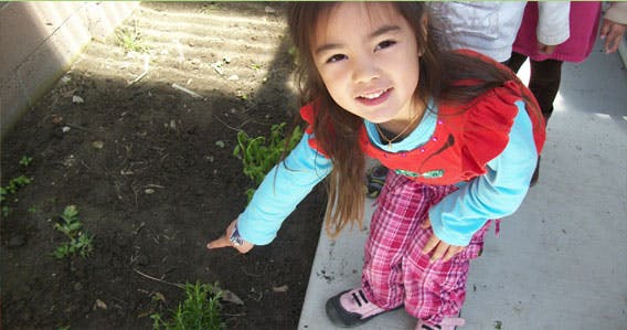Child pointing at small plants in the ground