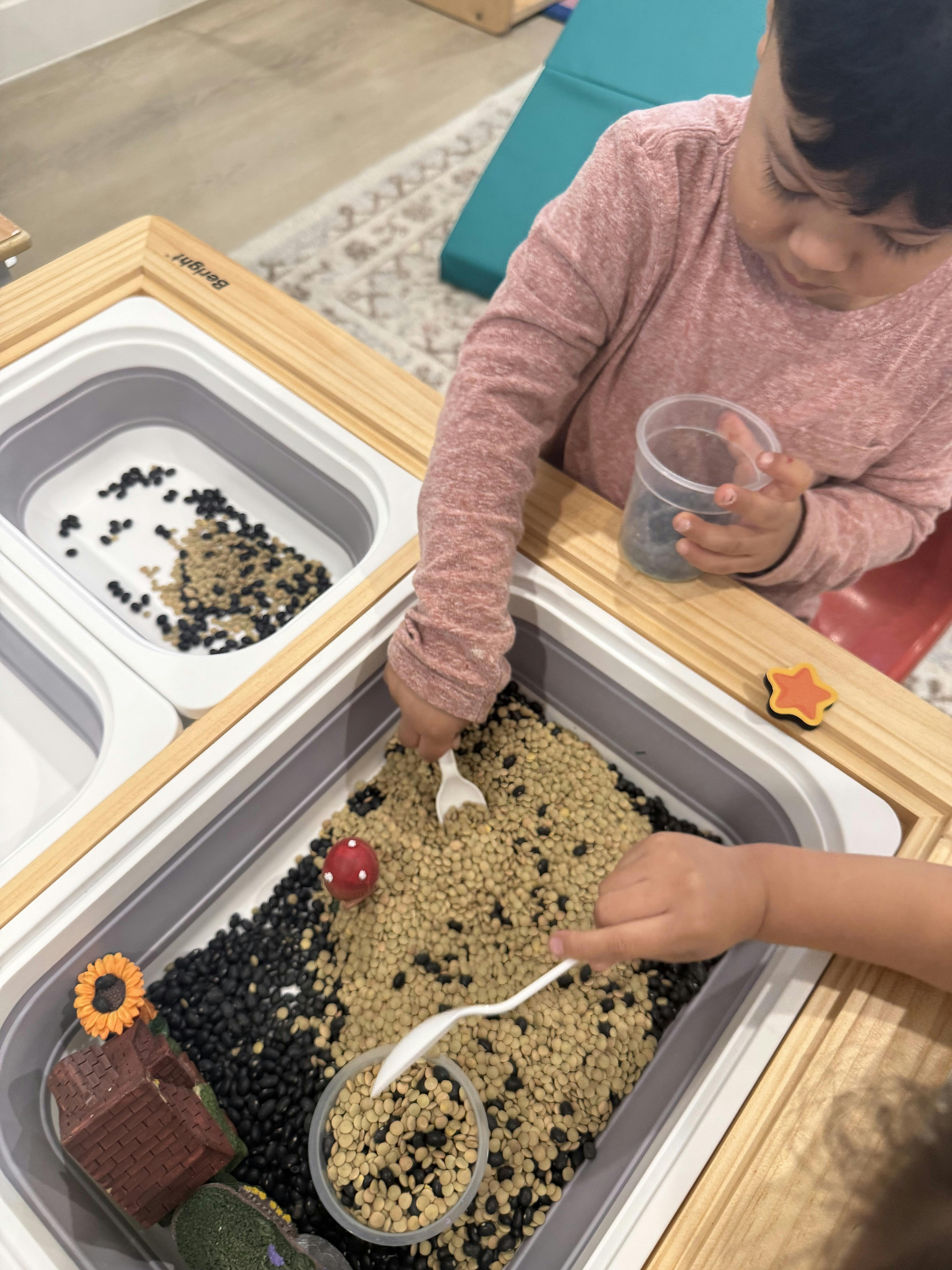 Children playing with scoops in a sensory bin filled with black and brown beans