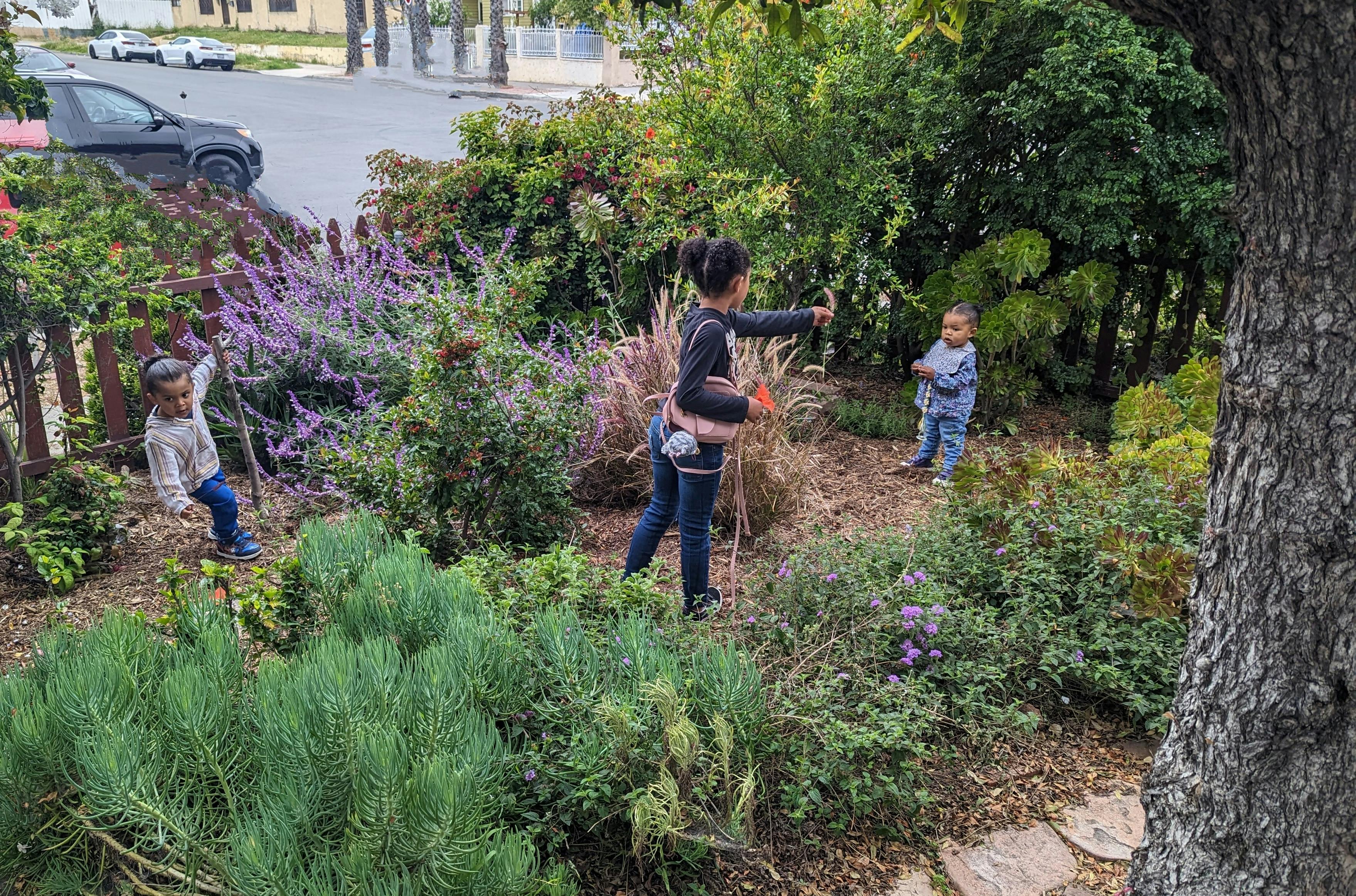 Wildflower Garden Daycare Daycare in San Diego, CA Winnie