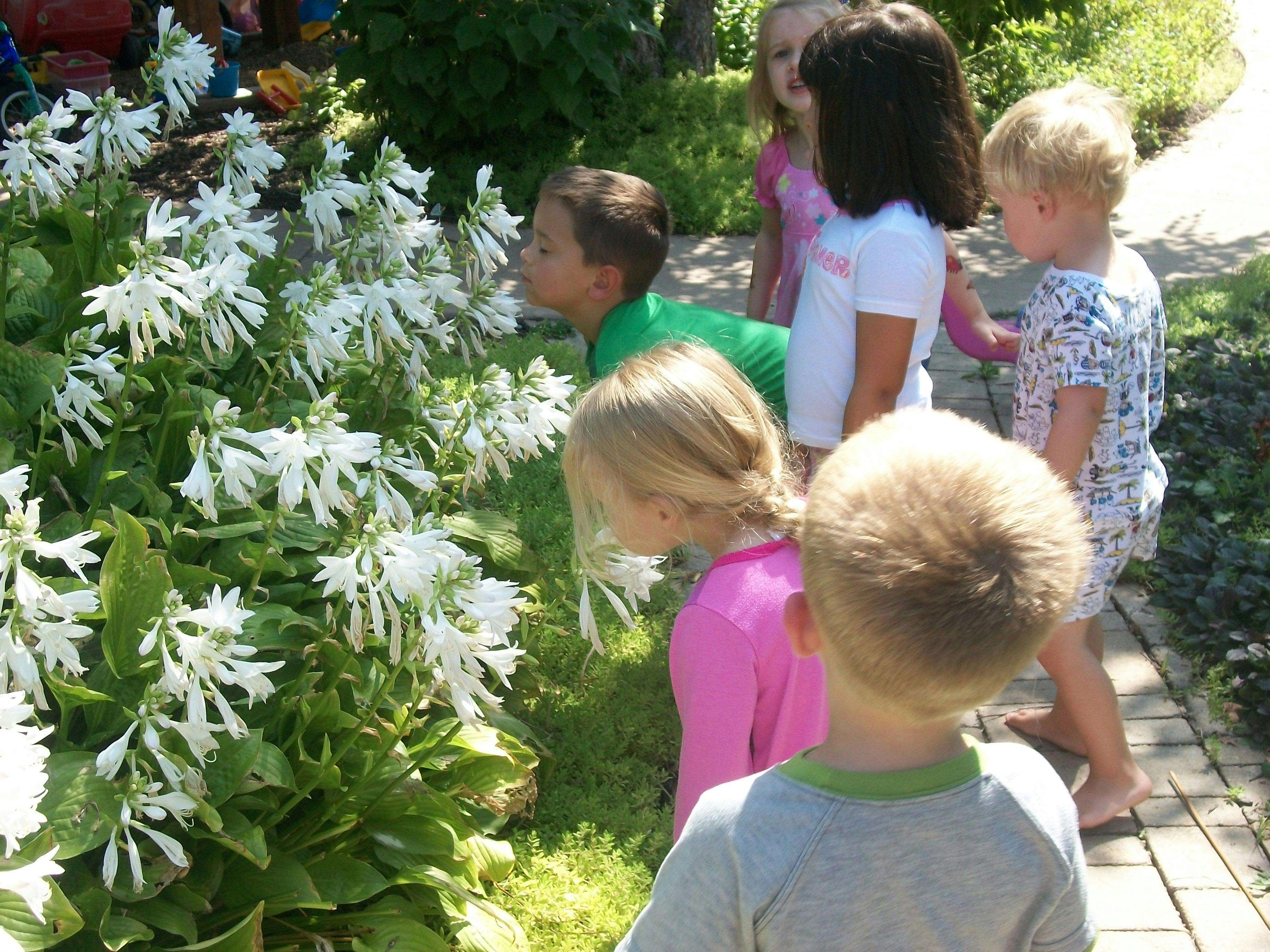 Children smelling white flowers