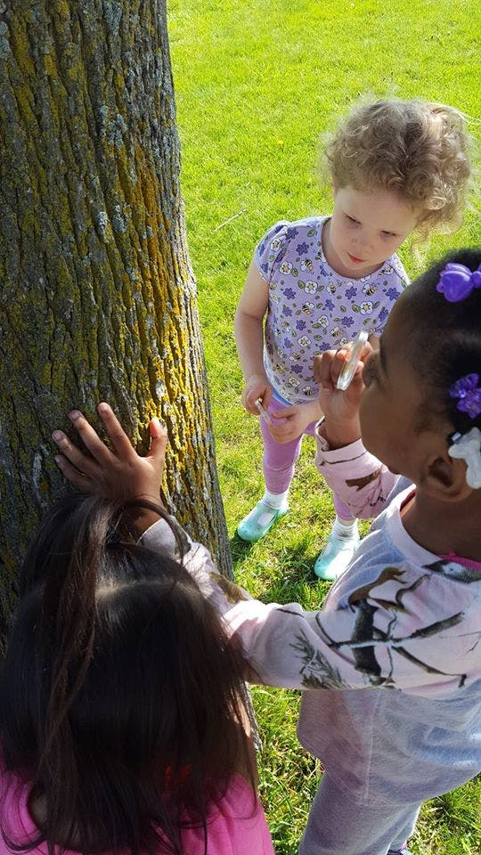 Three children interacting with a tree trunk outdoors