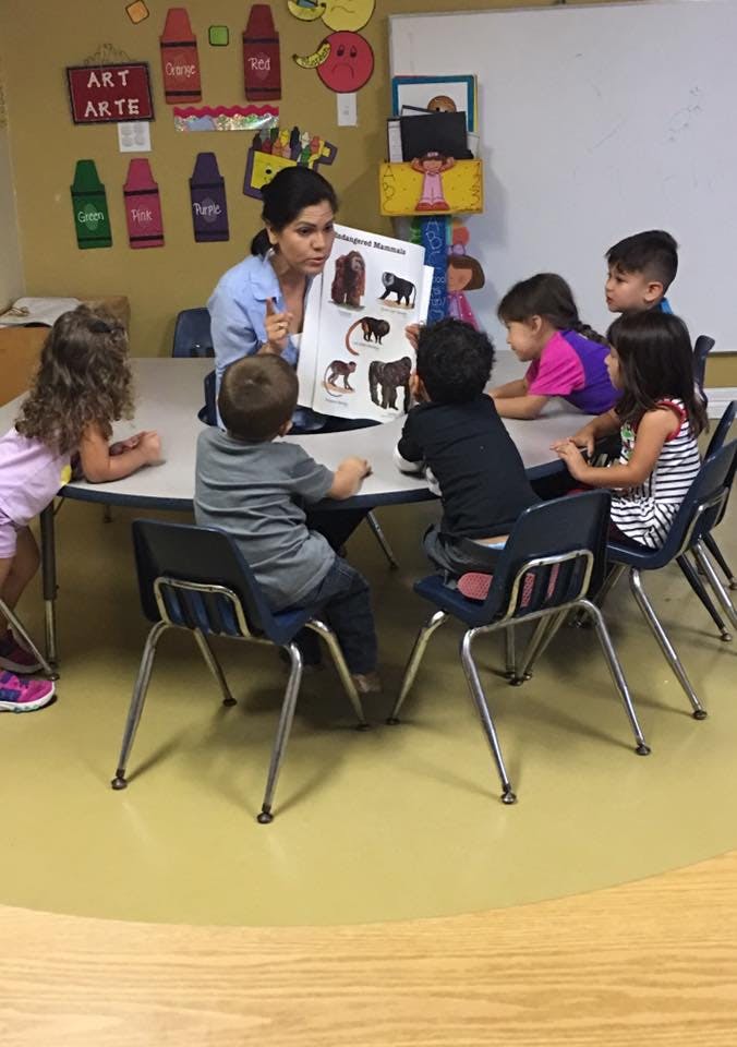 Person showing children a poster with animal illustrations in a classroom
