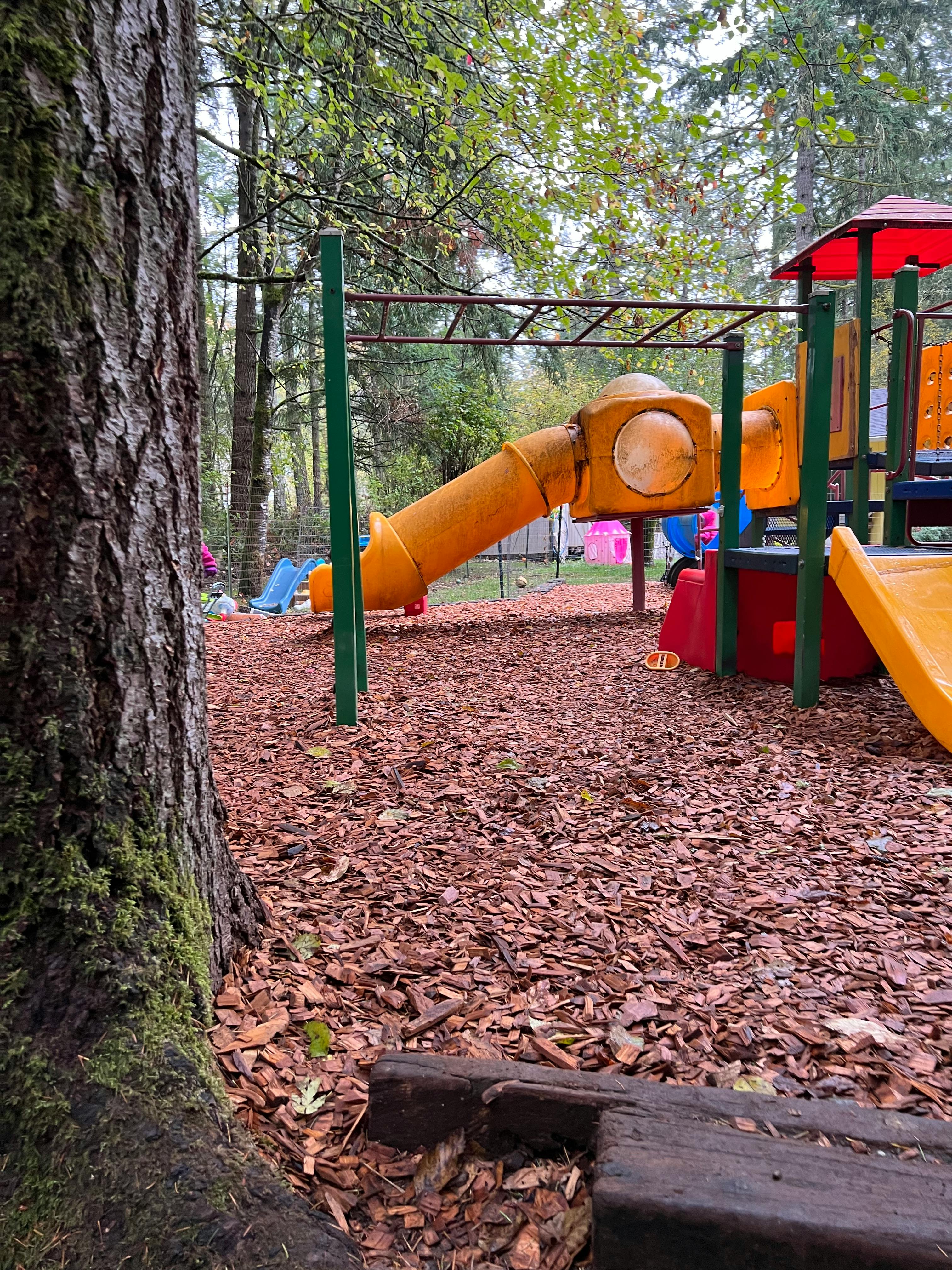Playground with yellow slide and monkey bars