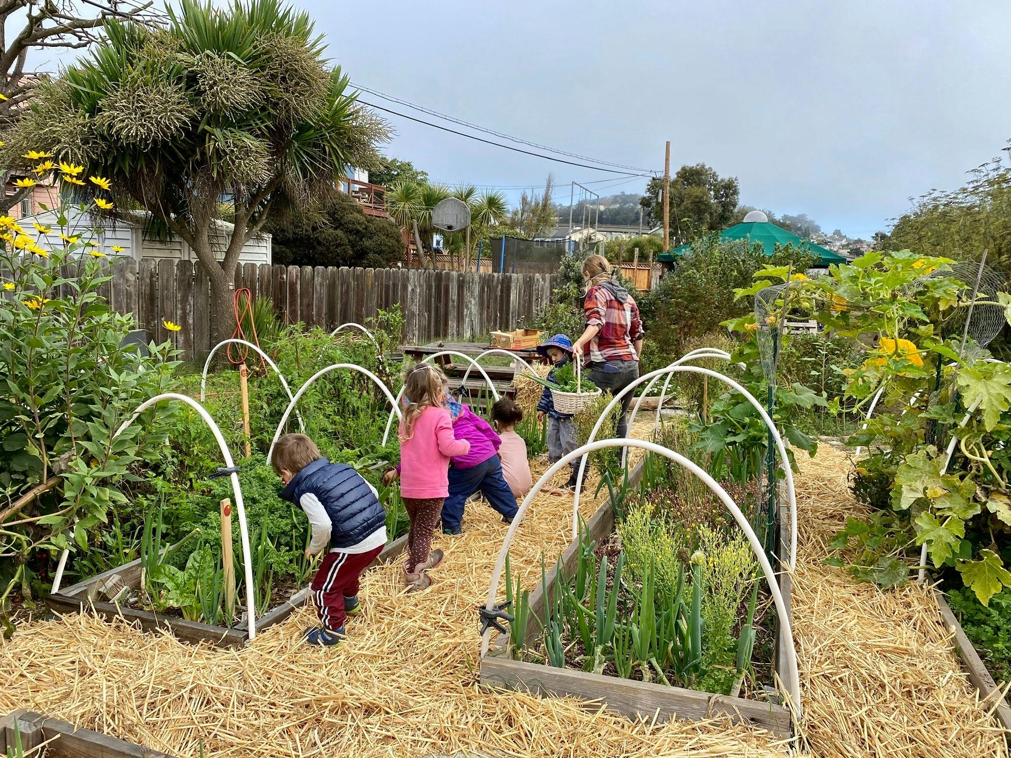Adult and children working in a garden with raised beds