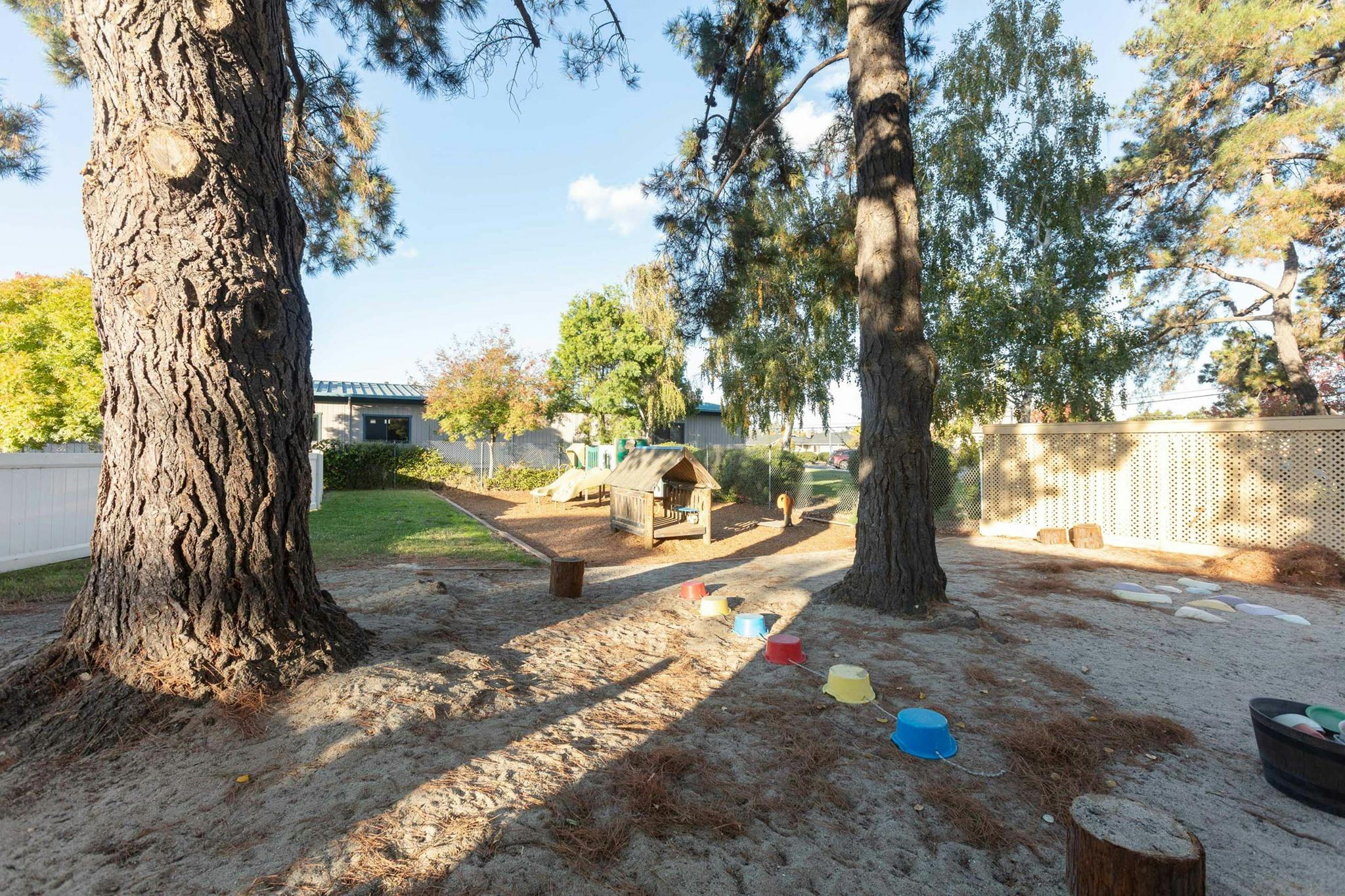 Outdoor play area with trees, sand, and a small wooden playhouse