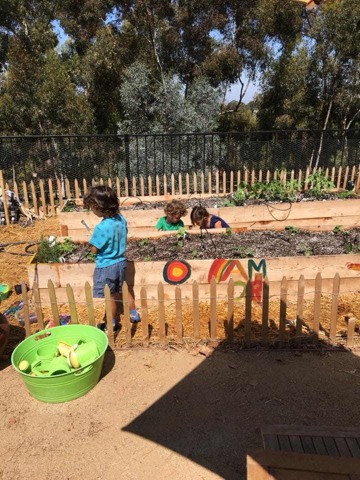 Three children tending to plants in a raised garden bed