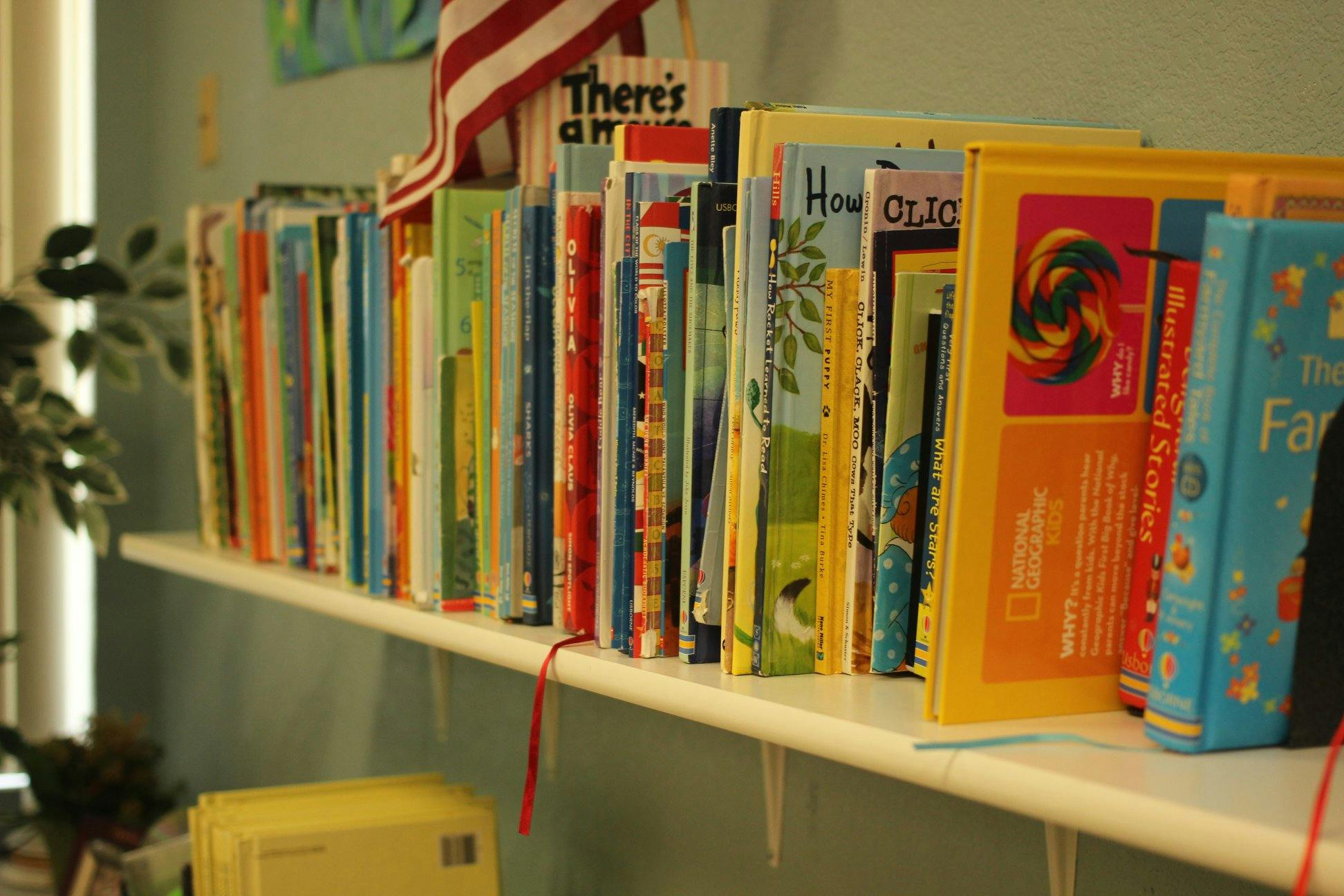 Books lined up on a shelf