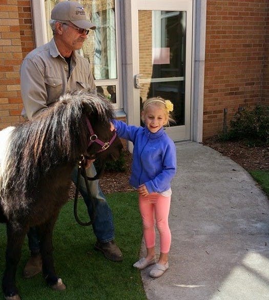 Person holding a pony while a child pets it