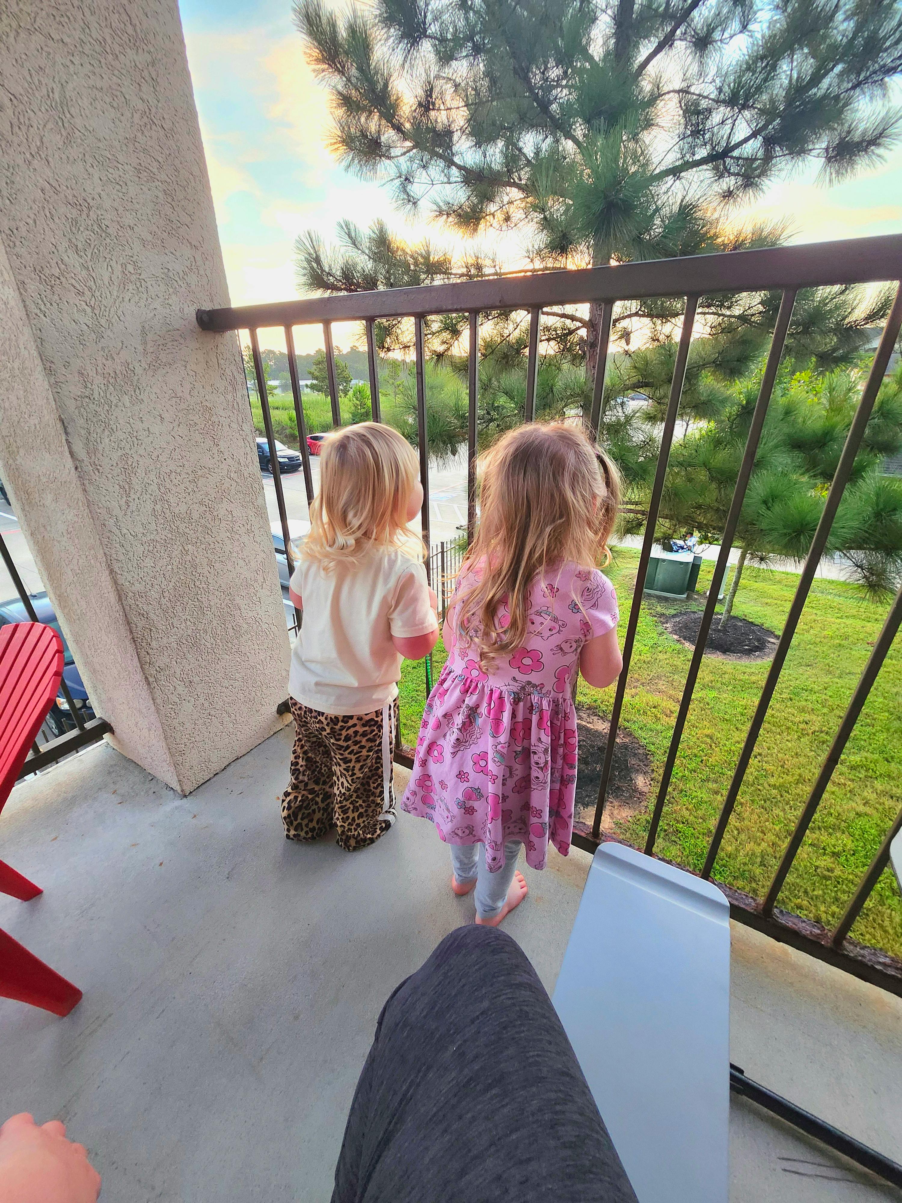 Two children standing on a balcony looking out through a railing