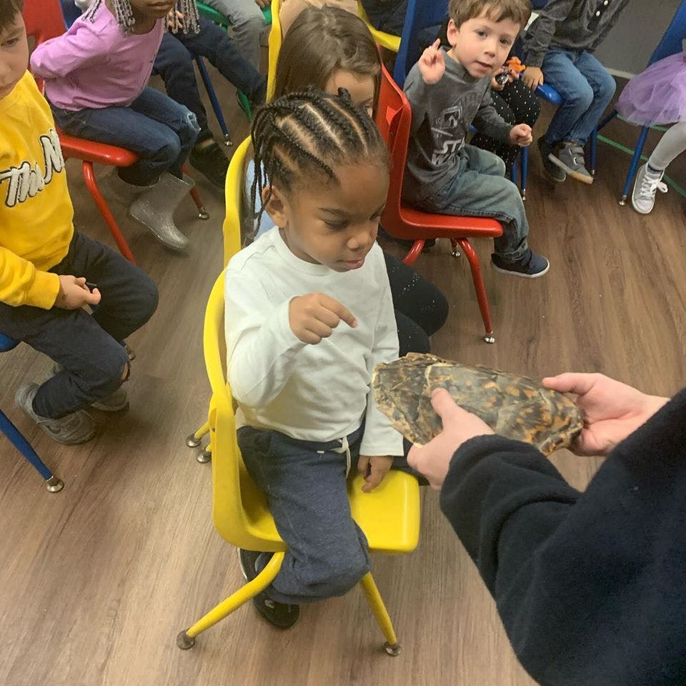 Child on a yellow chair pointing at a turtle held by a person