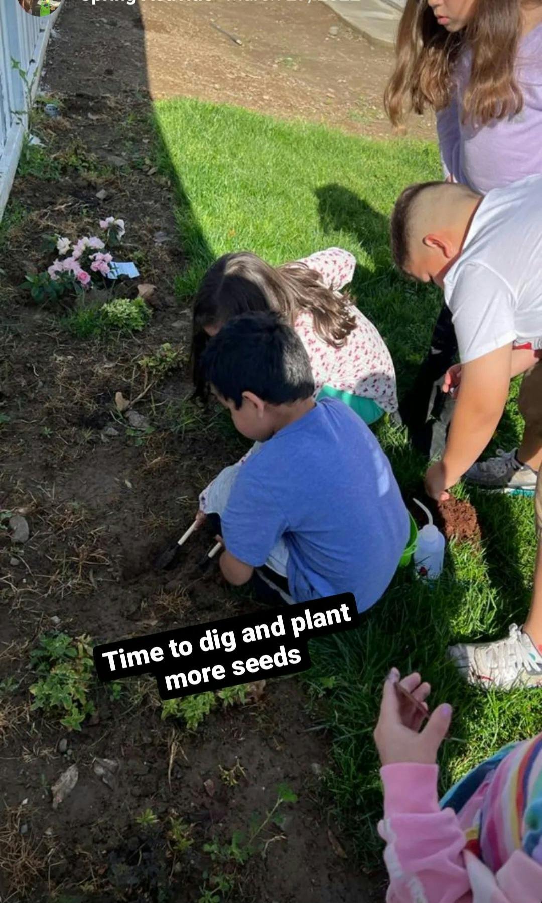 Children planting in a garden bed
