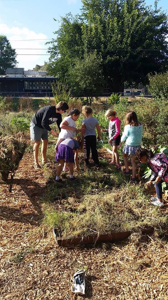 Adult and children working in a garden