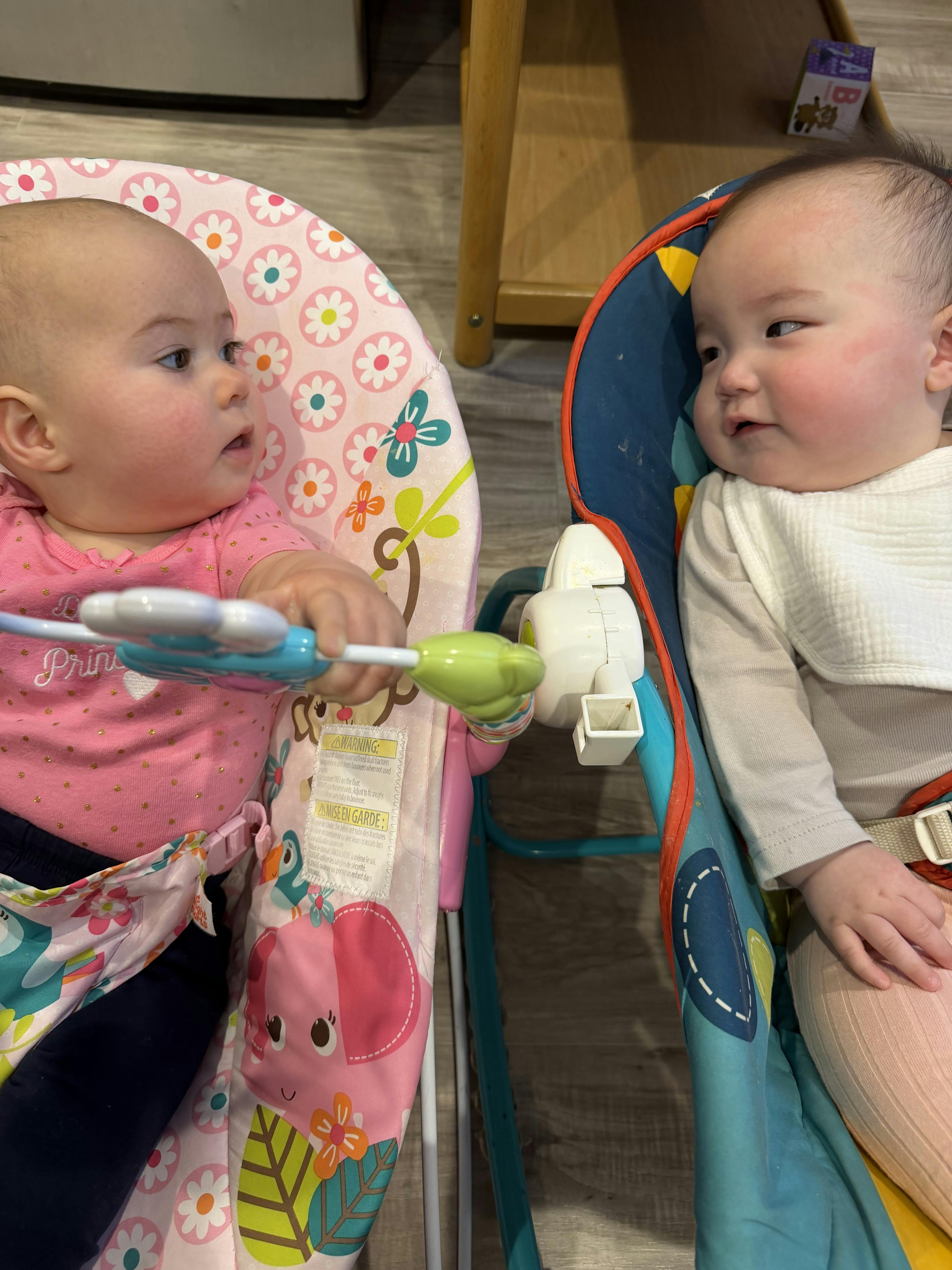 Two babies in bouncers looking at each other