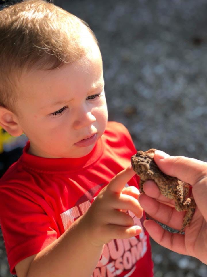 Child in red shirt touching a small frog held by a person
