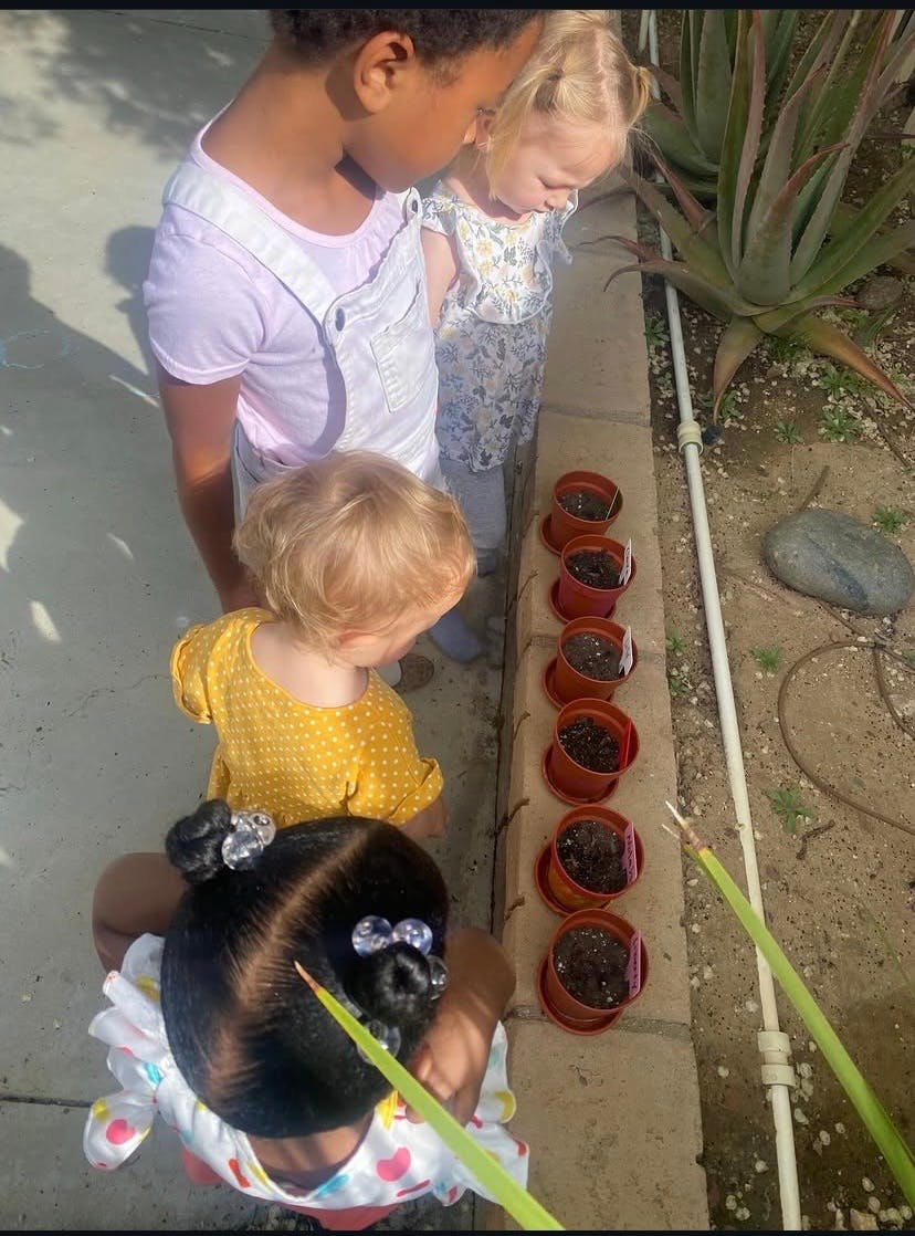 Four children looking at a row of small potted plants