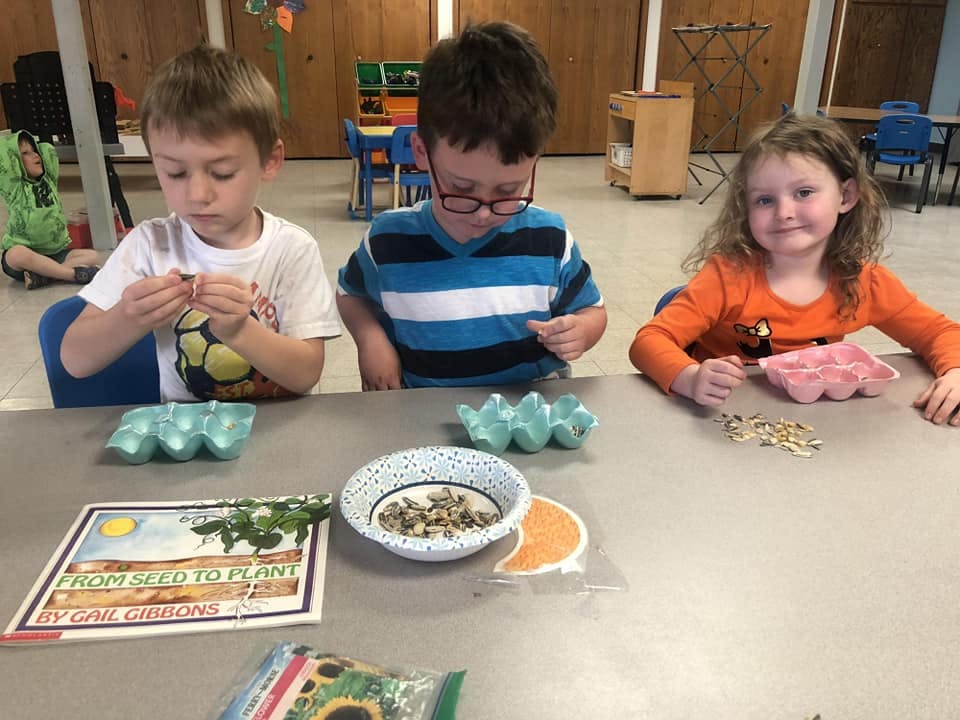 Three children at a table with egg cartons and seeds