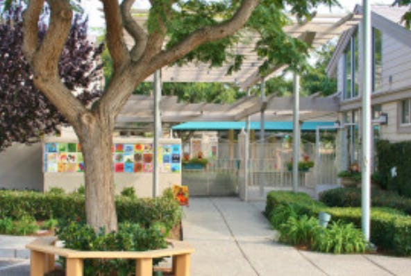 Tree with a circular bench around its base, sidewalk leading to building
