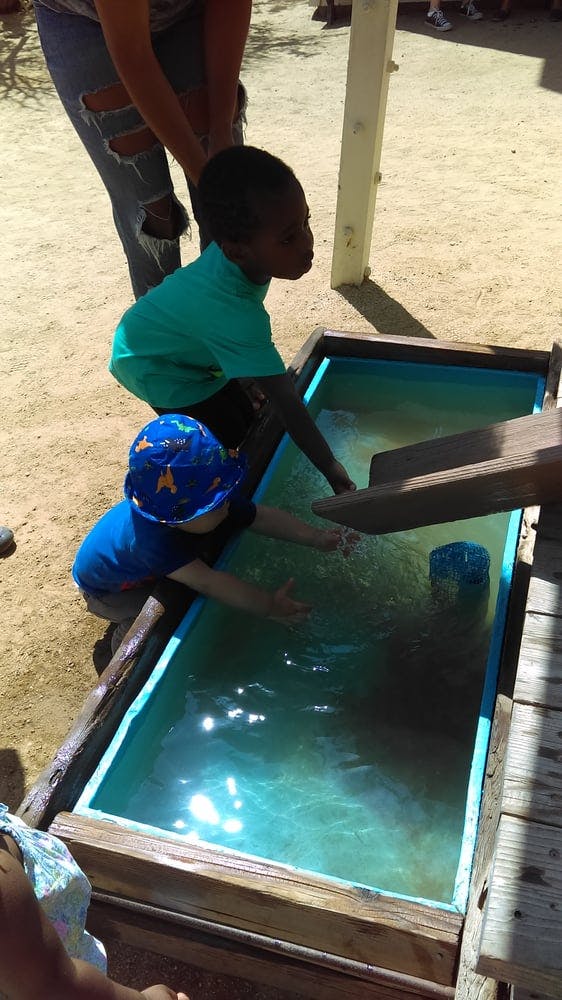 Two children playing with water in a trough