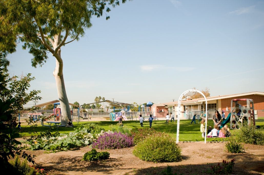 Children playing on a playground with a building in the background
