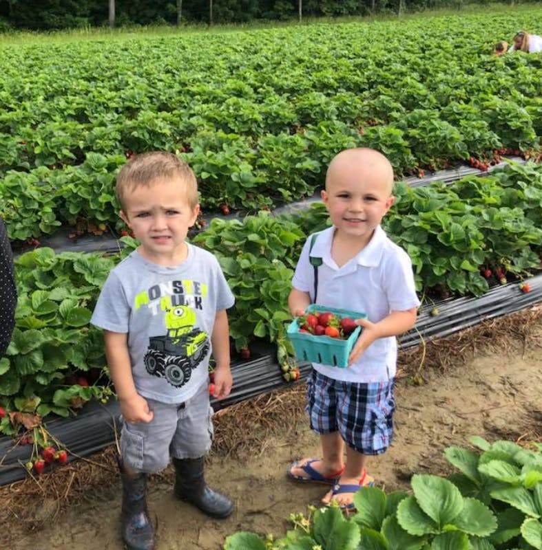 Two children standing in a strawberry field, one holding a basket of strawberries