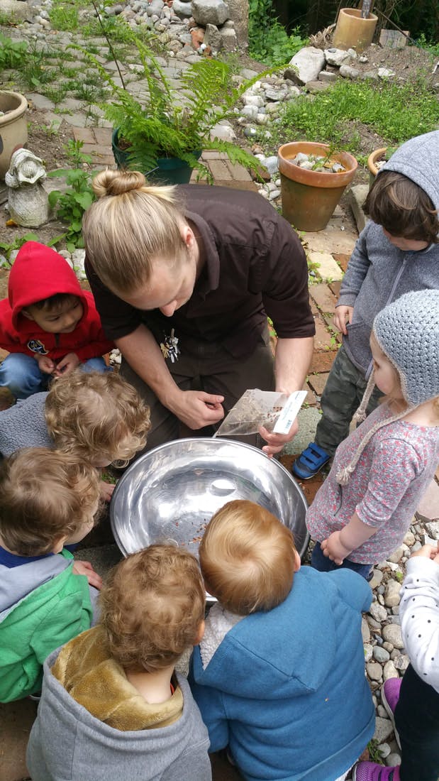 Person showing seeds to several children gathered around a metal bowl outdoors