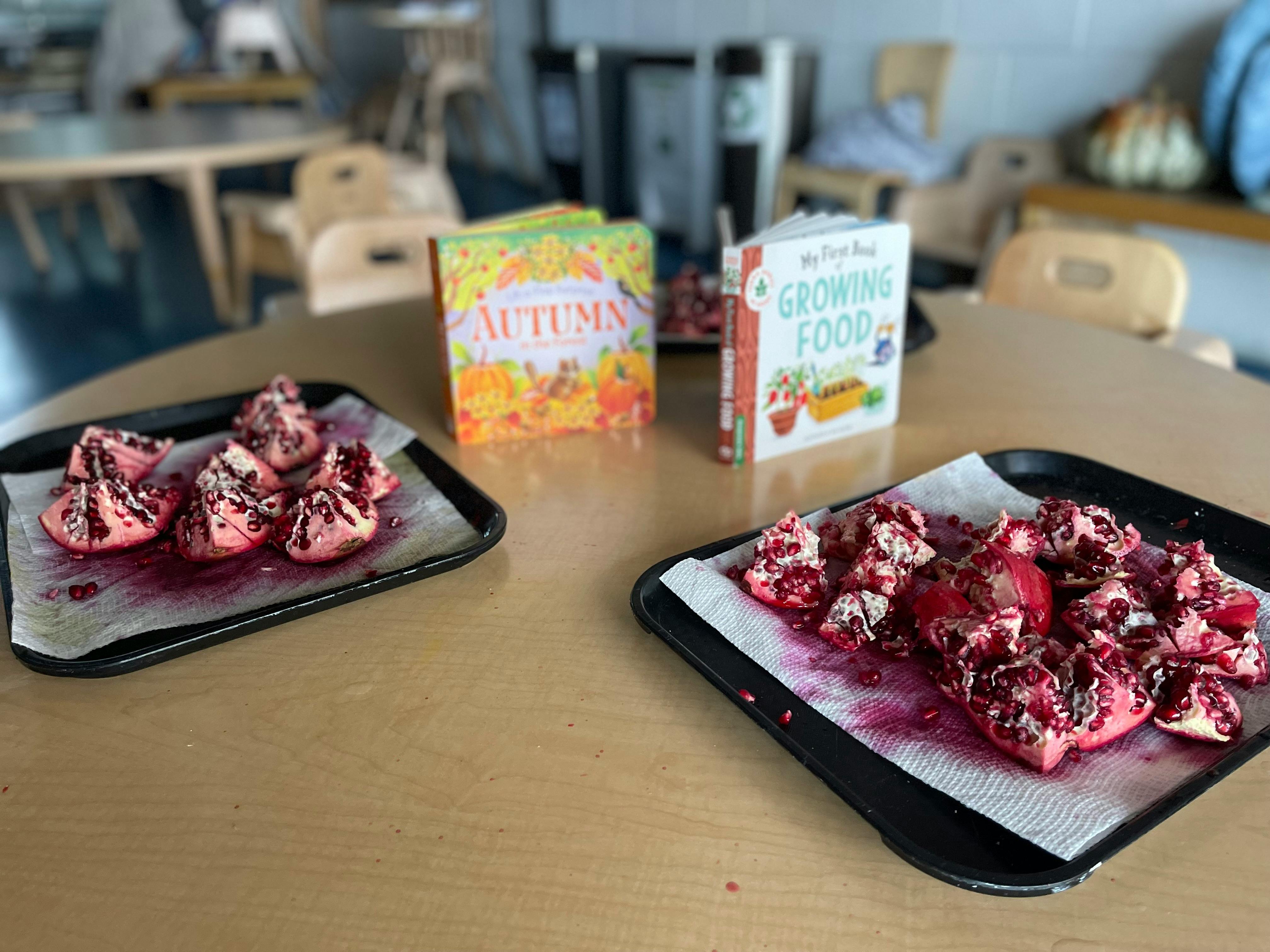 Pomegranate seeds on two trays with books in the background