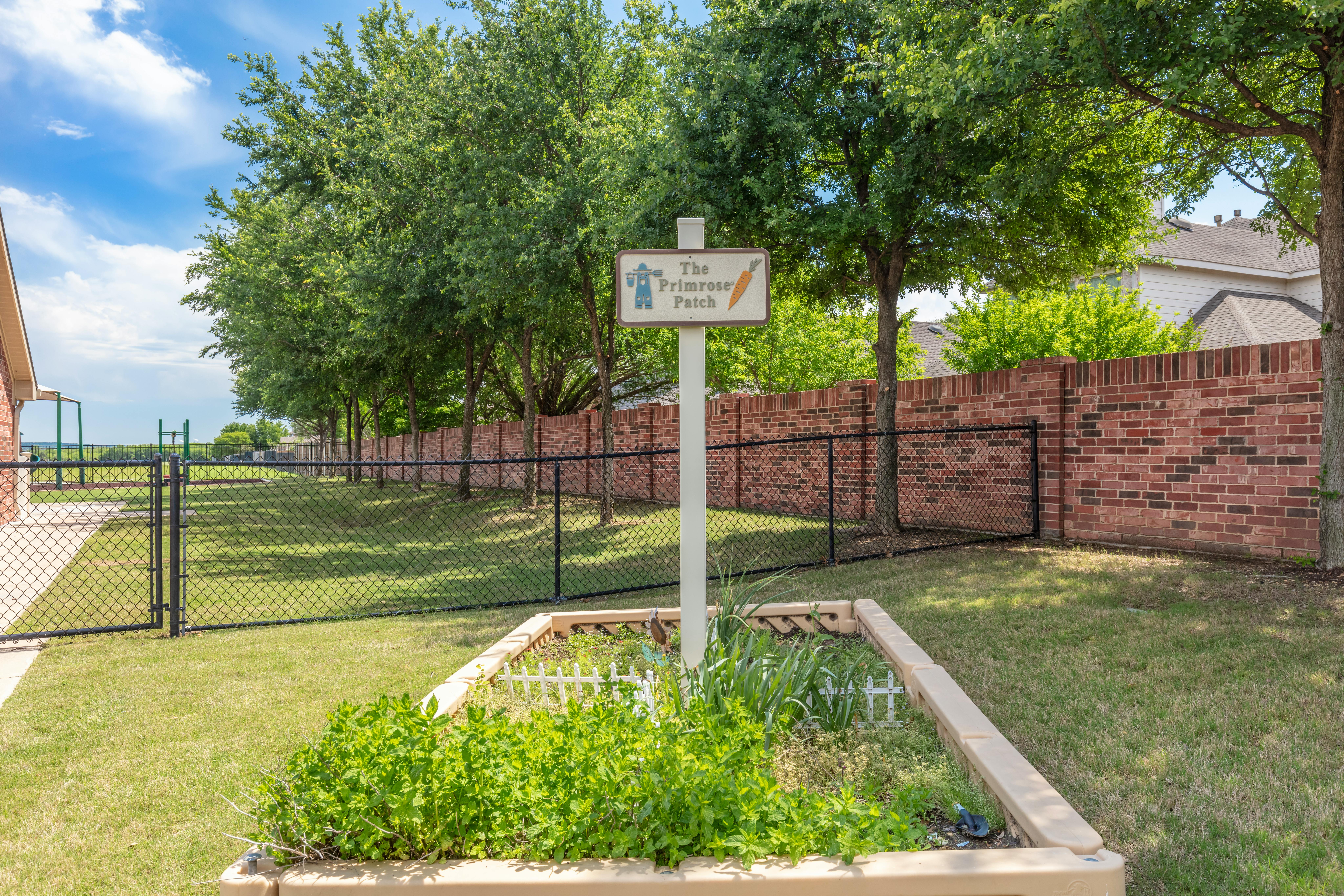 A sign for The Primrose Patch with a carrot icon above a raised garden bed