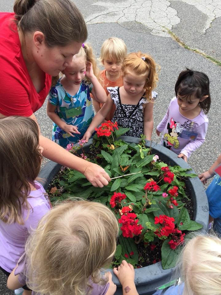 Adult and children looking at red flowers in a planter