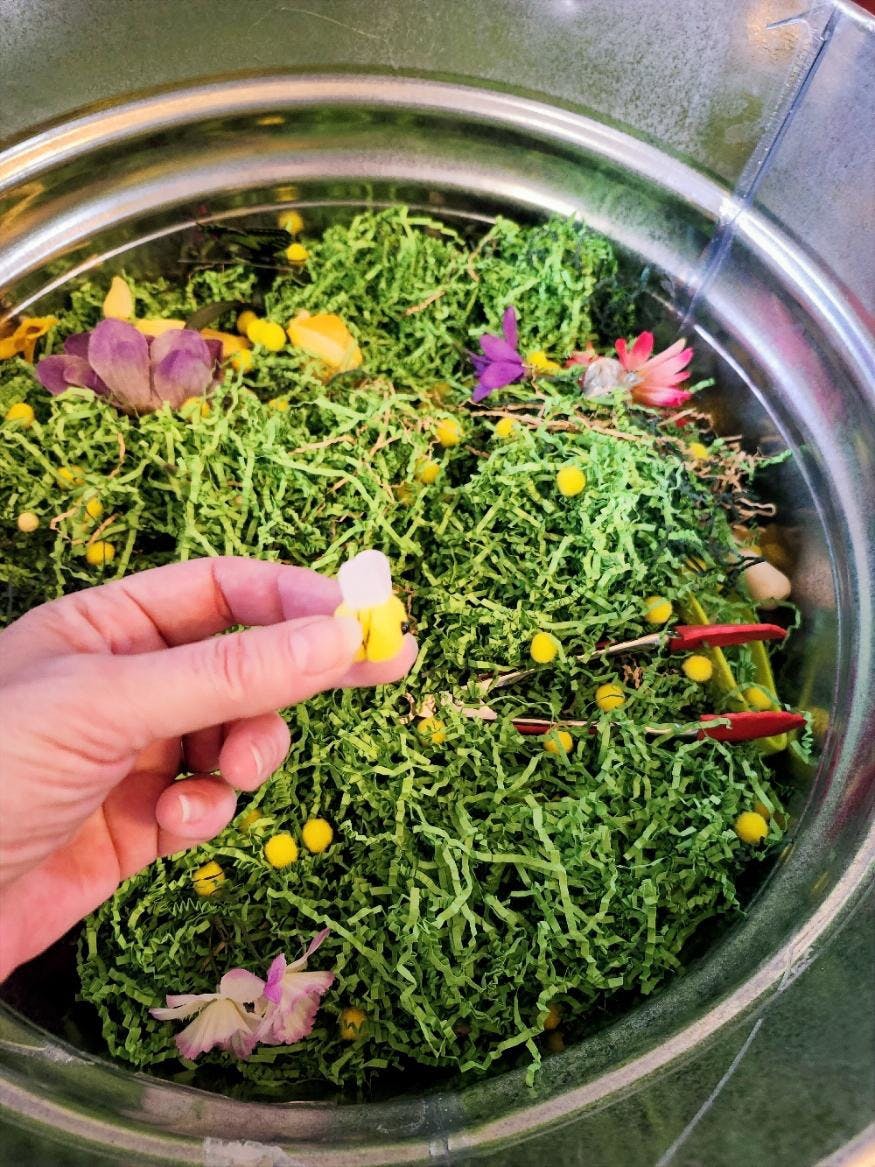 Hand holding a small yellow and white item over green shredded paper with flowers