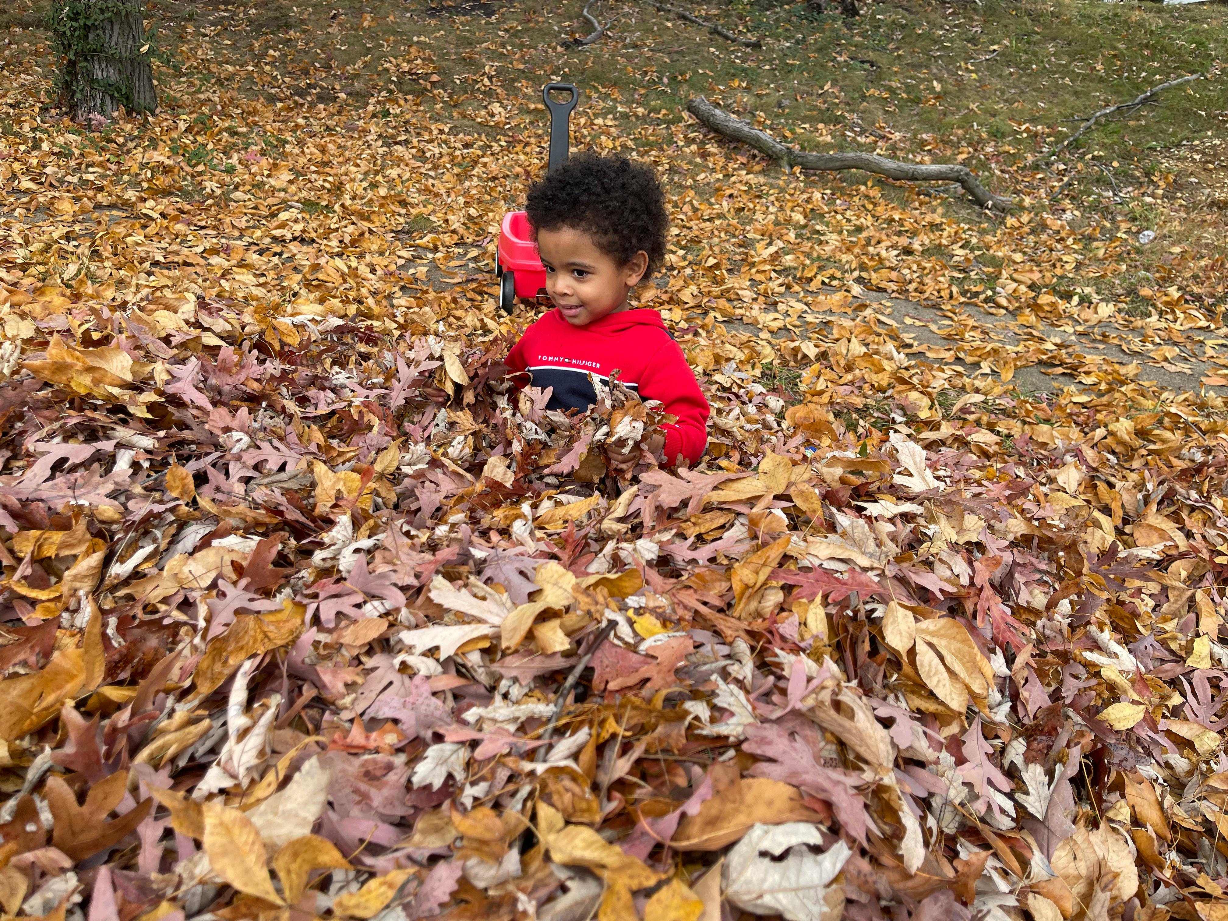 Child in a pile of autumn leaves
