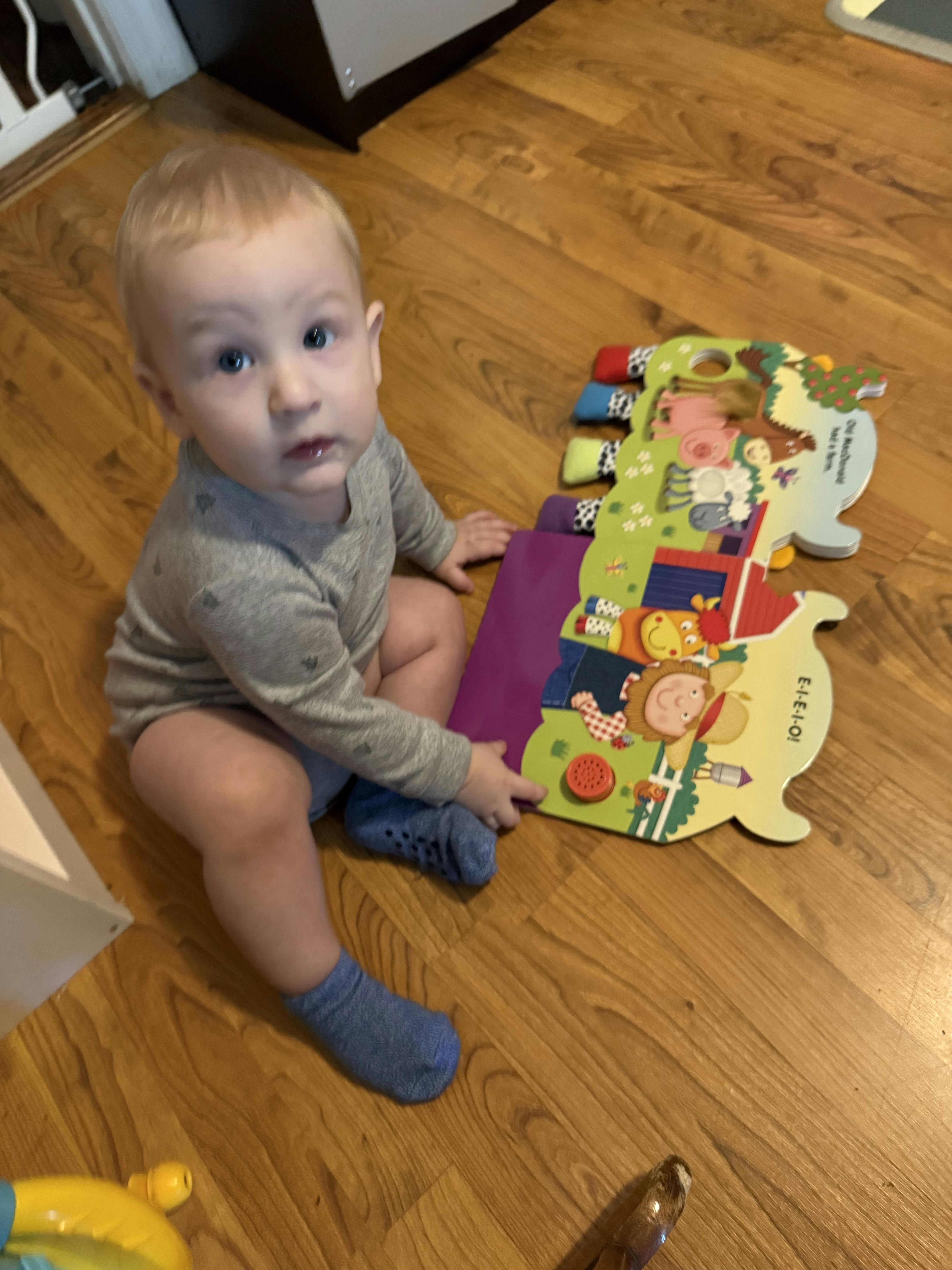 Child sitting on floor playing with a farm-themed interactive book