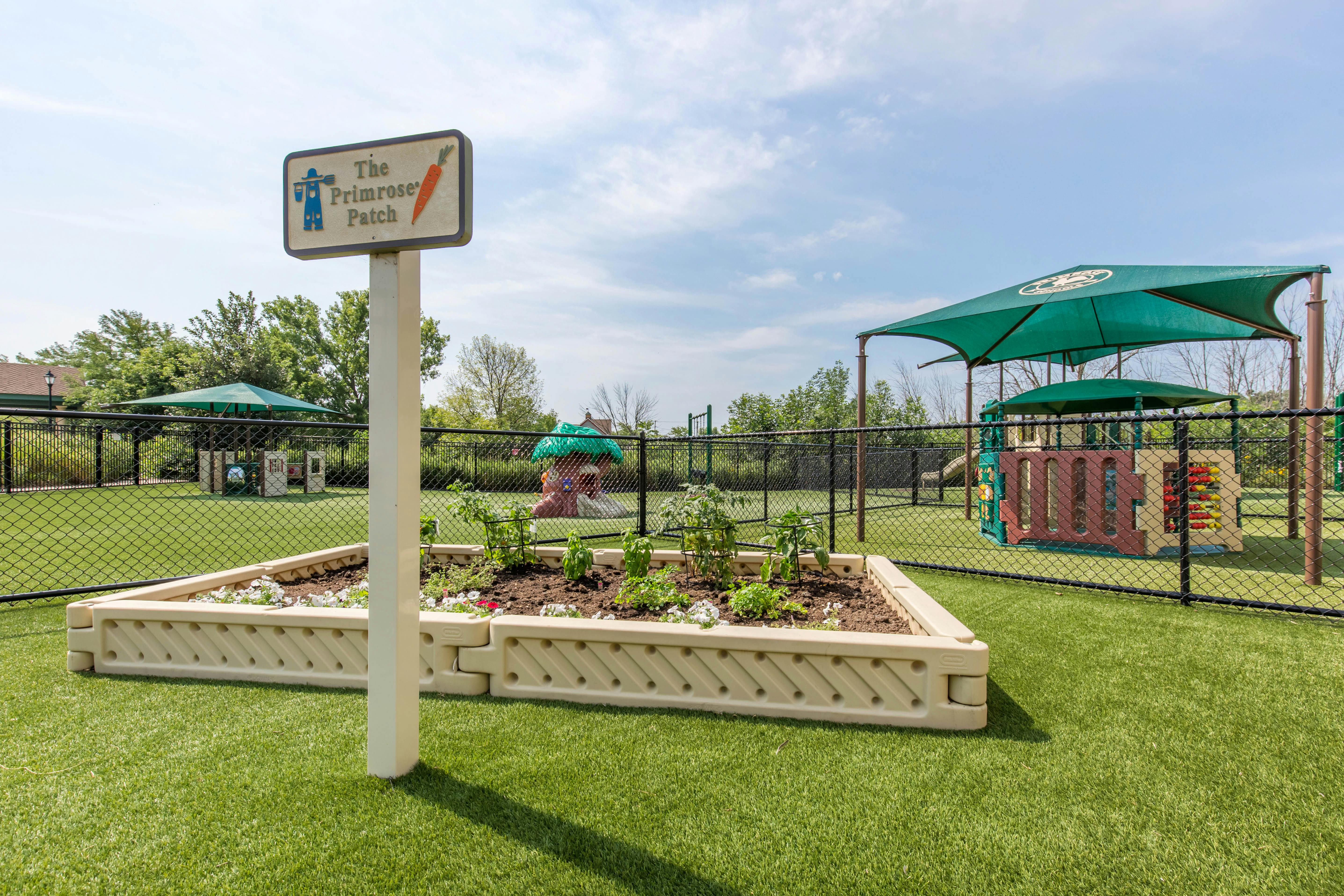 Raised garden bed with a sign for "The Primrose Patch" and a playground in the background