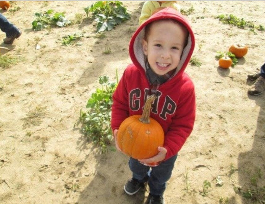 Child in a red hoodie holding a pumpkin in a field