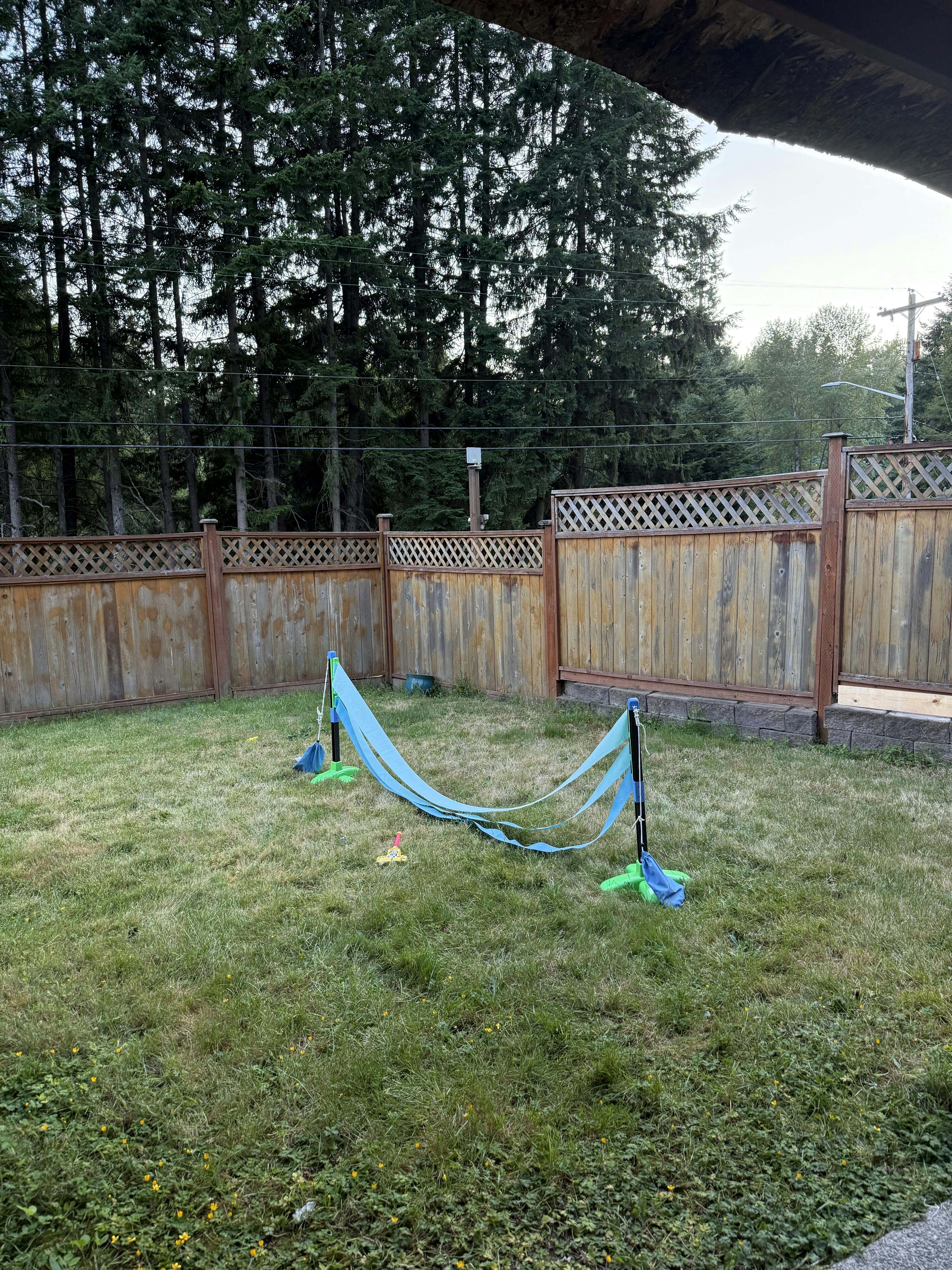 A limbo set standing on a grassy backyard lawn