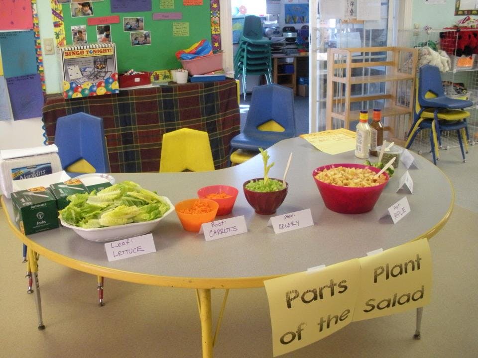 Table with bowls of salad ingredients and labels, "Parts of the Plant Salad" sign