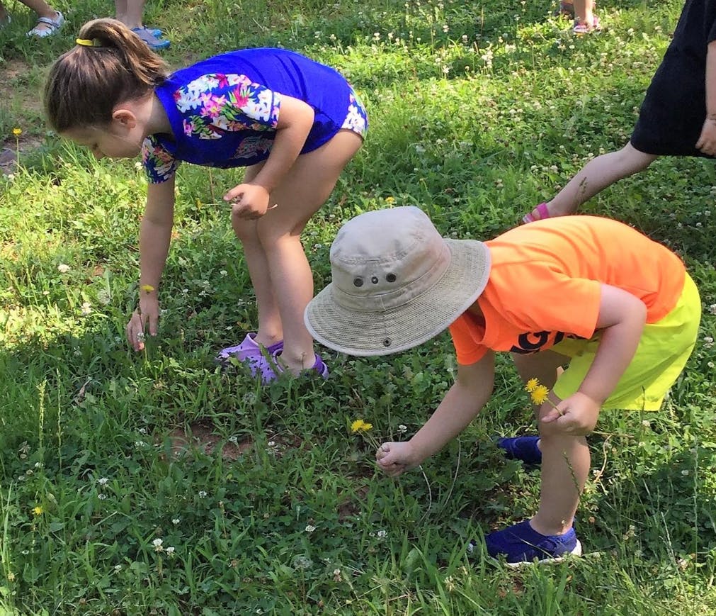 Two children bending down to look at plants in grass