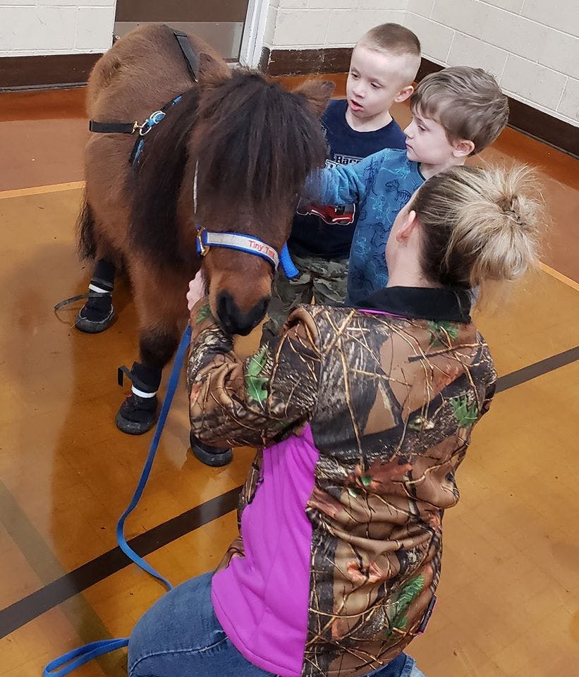 Person holding a pony on a leash with two children looking at the pony