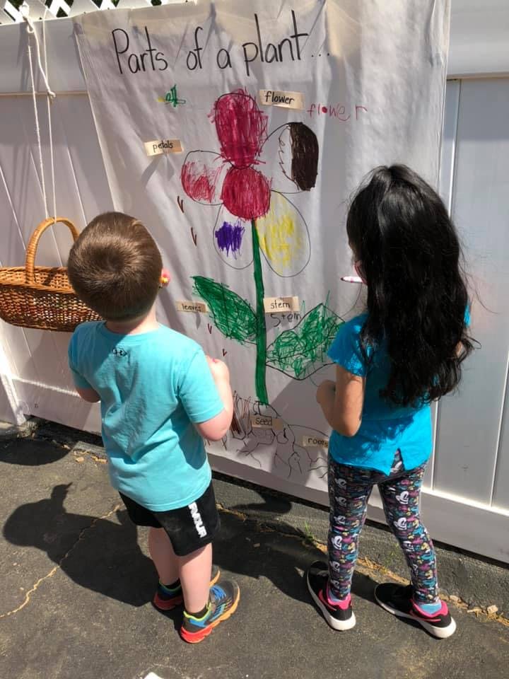 Two children looking at a drawing of a plant with parts labeled "Parts of a plant"