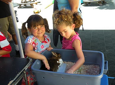 Two children interacting with a rabbit in a container
