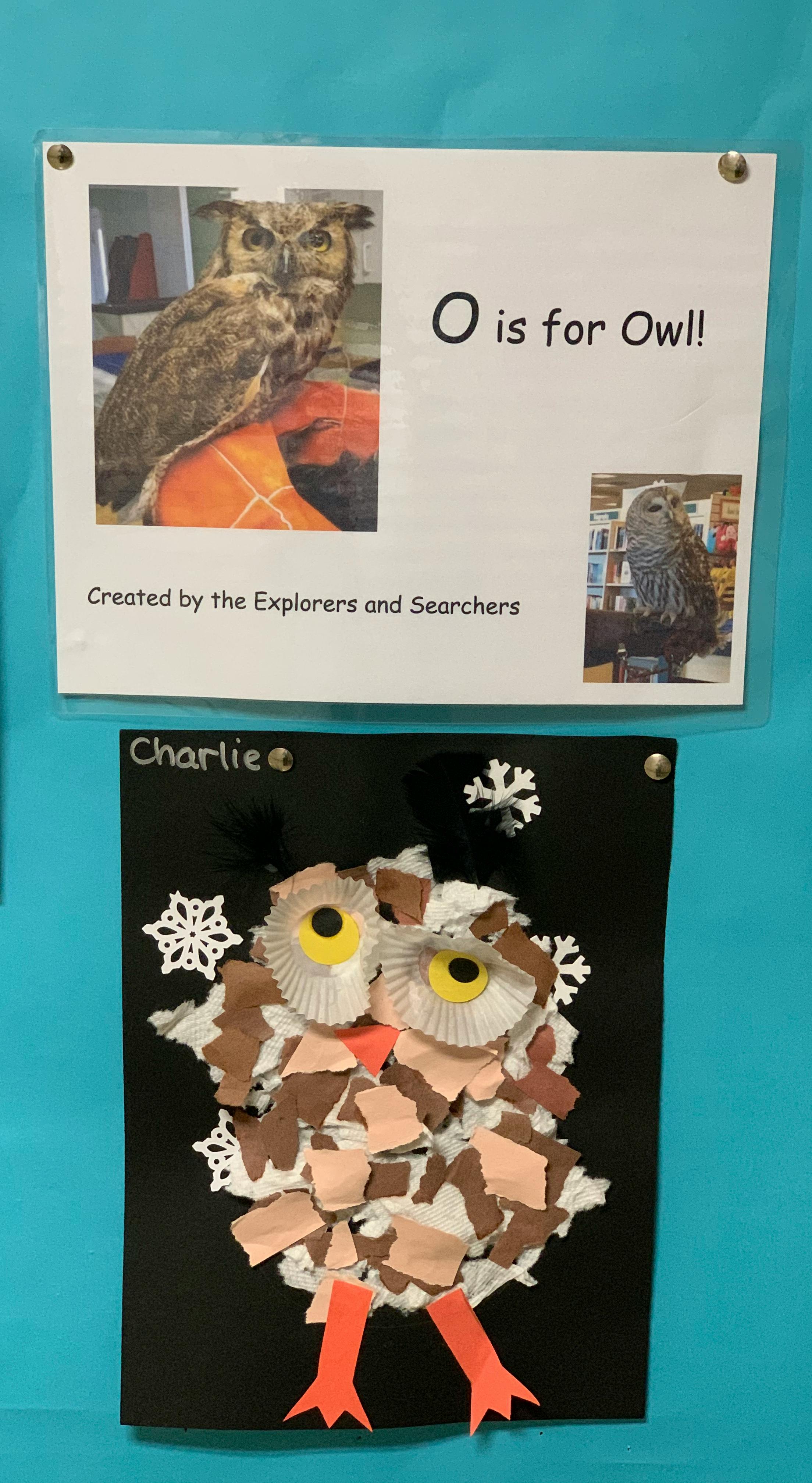 A sign with "O is for Owl!" and an owl craft made from paper and cupcake liners