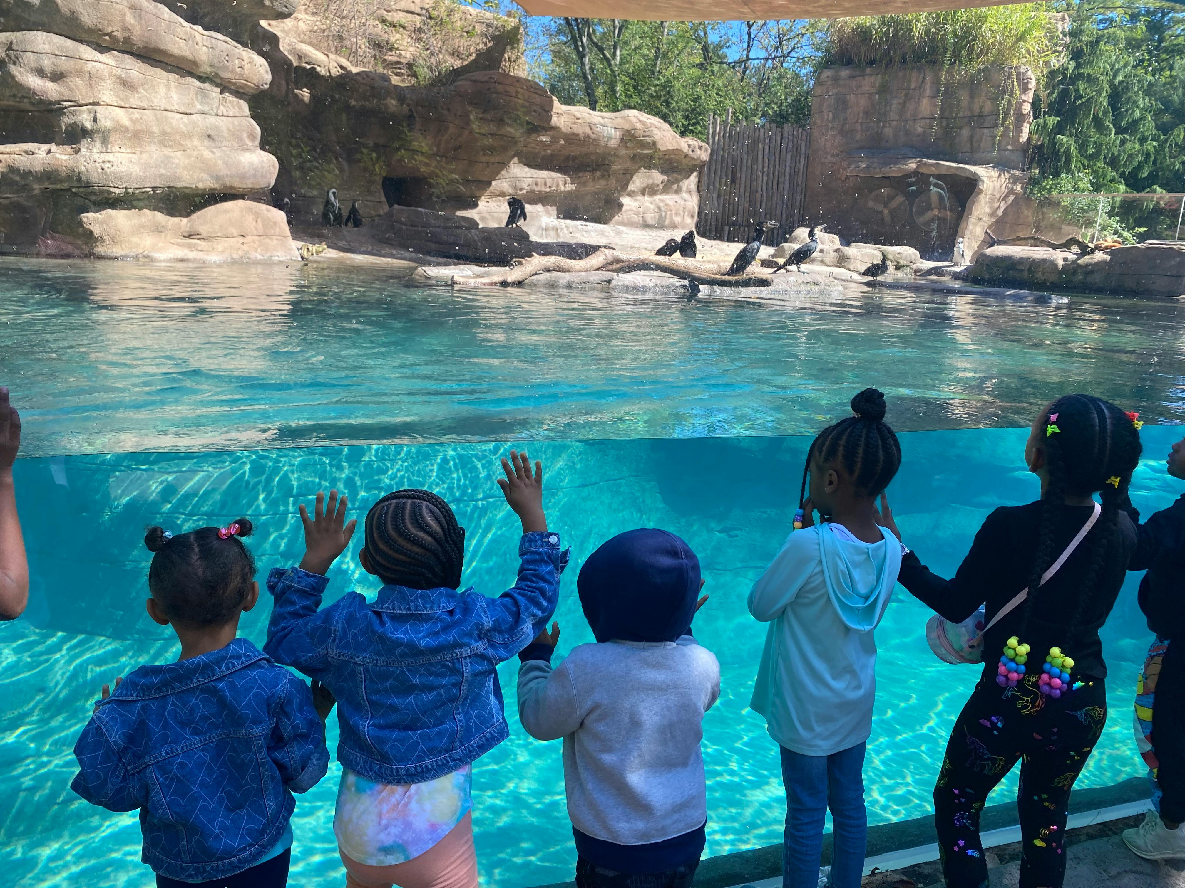 Children looking at penguins through an aquarium glass