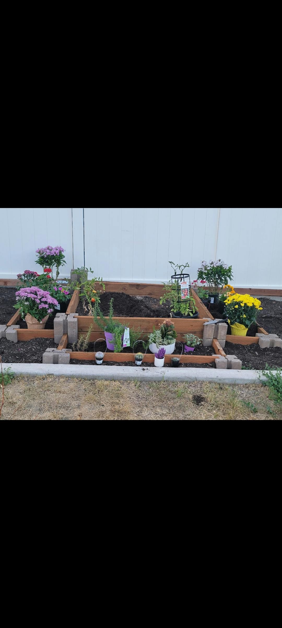 Raised garden beds with various plants and flowers