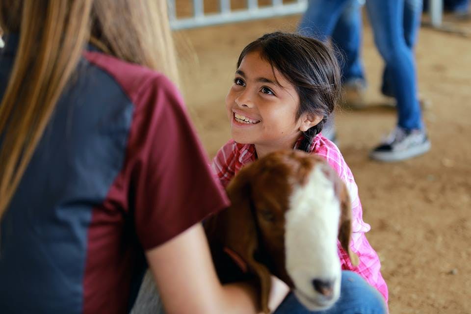 Child holding a goat and looking at a person