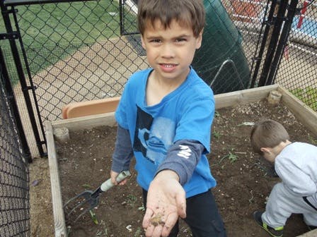 Child holding dirt in hand in a garden bed