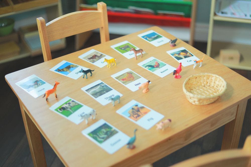 Table with animal cards and matching animal figurines
